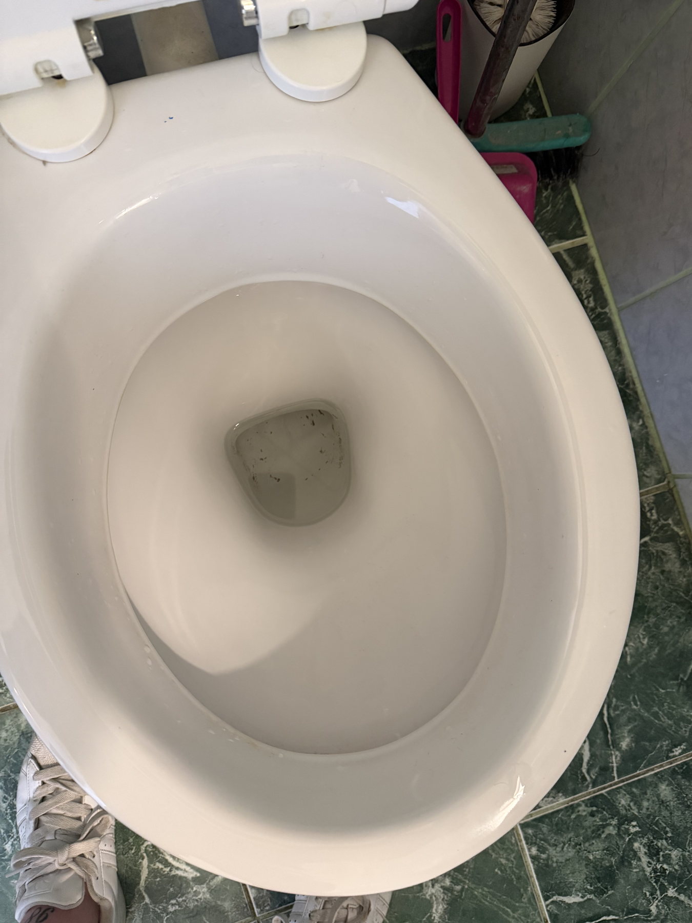 Megtisztított WC-csésze